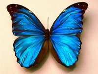 Фотография До офеева Анна