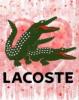 Фотография lacoste