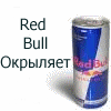 Фотография bobus