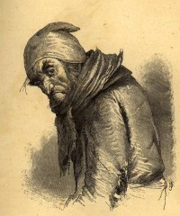 Фотография Plushkin