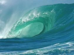 Фотография максим 84