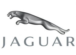 Фотография Jaguar'