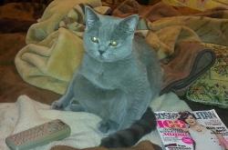 Фотография lukashas