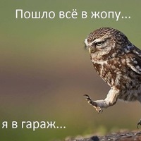 Фотография Greydar