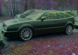 Фотография Dimasti